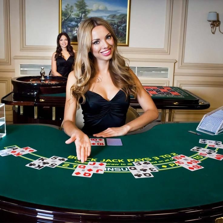 spicy casino